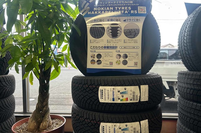 世界で唯一のEV/HV用のスタッドレスタイヤ！